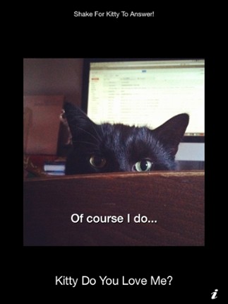 Kitty Do You Love Me? screenshot