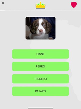 Learn Spanish Words Beginners Image