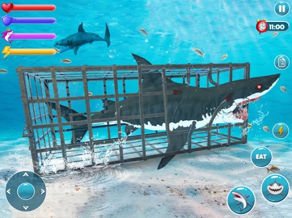 Megalodon Shark Fish Attack screenshot