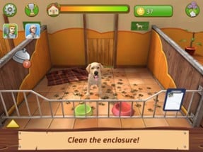 Pet World Premium Image