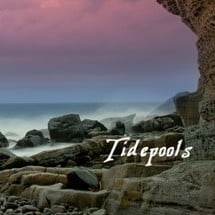 Tidepools Image