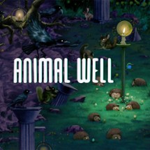 ANIMAL WELL Image