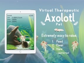 Axolotl Pet Image