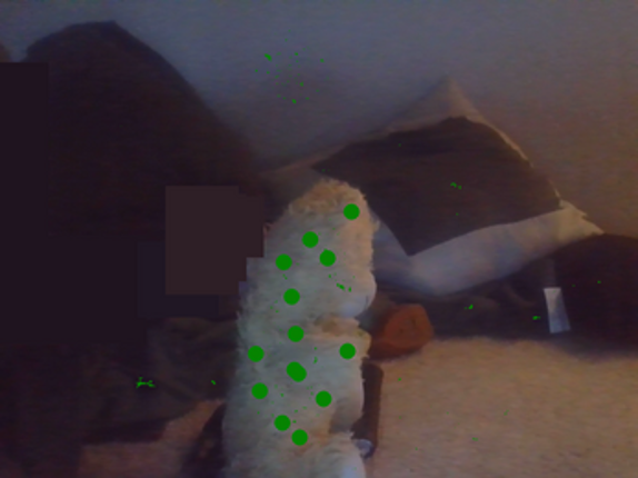 fnab 2 Image