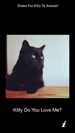 Kitty Do You Love Me? screenshot