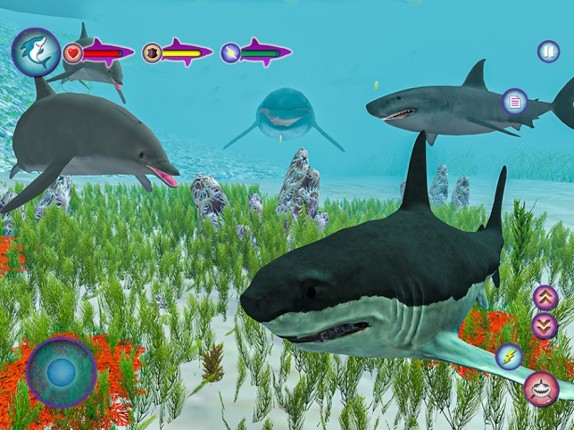 Megalodon Shark Fish Attack Image