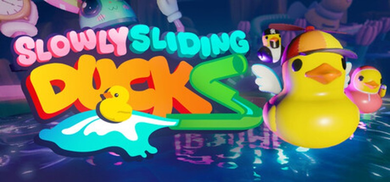 Slowly Sliding Ducks Image