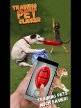 Training Pet Clicker Image