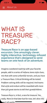 Treasure Race screenshot