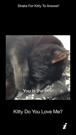 Kitty Do You Love Me? screenshot