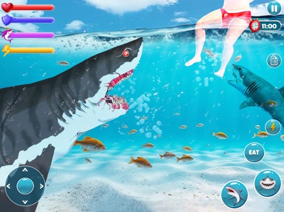 Megalodon Shark Fish Attack Image