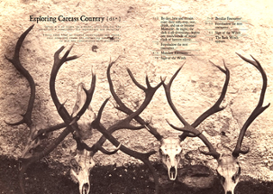 The Bark Witch of Carcass Country Image