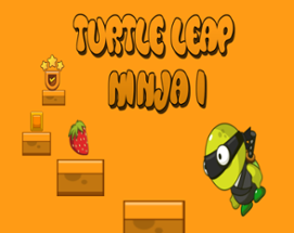 Turtle Leap Ninja I Image