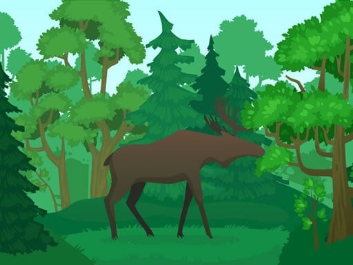 Games like Wild Animals Coloring
