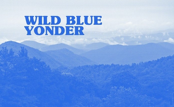 Wild Blue Yonder Game Cover