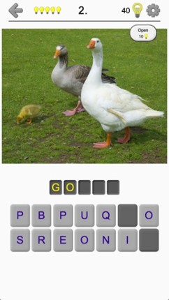 Bird World - Quiz about Famous Birds of the Earth screenshot