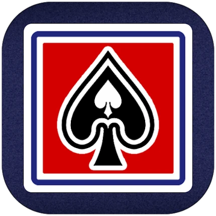 Murlan Pro Image