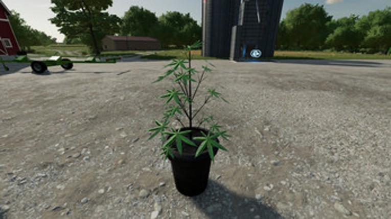 FS22 - Cannabis Plants Pack 1 Image