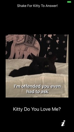 Kitty Do You Love Me? screenshot