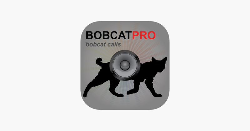 REAL Bobcat Calls - Bobcat Hunting - Bobcat Sounds Image