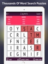 Word Find Puzzles Image