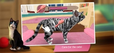 CatHotel - Play with Cute Cats Image