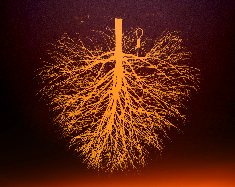 Games like What We Had To Do