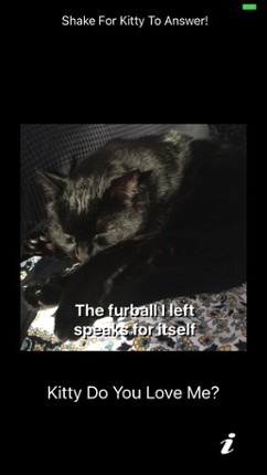 Kitty Do You Love Me? screenshot