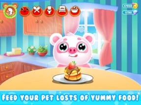 Virtual Pet Care - Piggy Panda Image