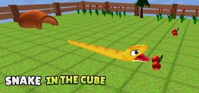 Snake In The Cube Image