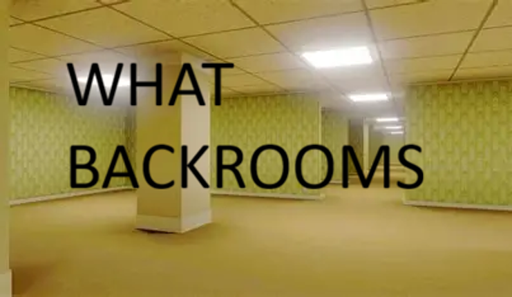 WHAT BACKROOMS Image