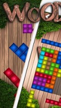 Wood Block Puzzle - Best Brick Match.ing Game Image