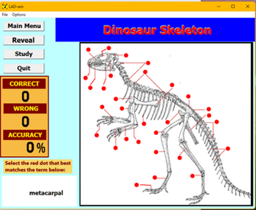 Learn About Dinosaurs Image