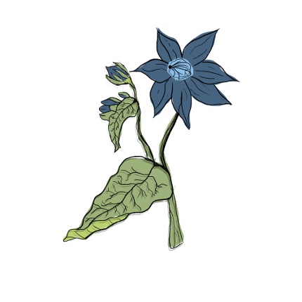 A Flowery Journey Image