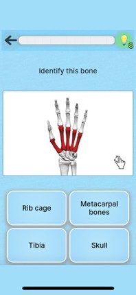 Anatomy Game screenshot