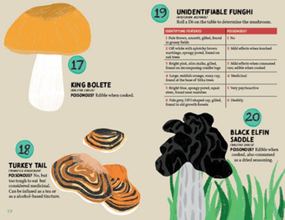 The Fruiting Bodies Image