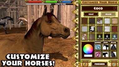 Ultimate Horse Simulator Image