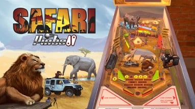 Wild & Adventure Pinball Image