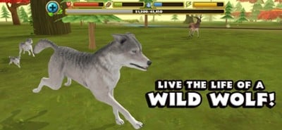 Wildlife Simulator: Wolf Image