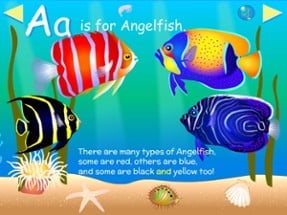 Fish &amp; Sea Creatures ABCs Image