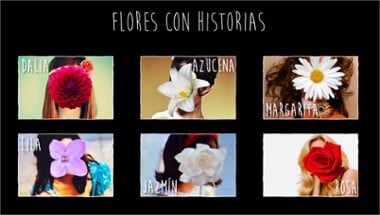 Flores con Historias Image