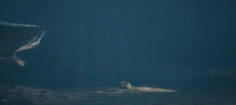 TITANIC: DEPTHS OF TERROR screenshot
