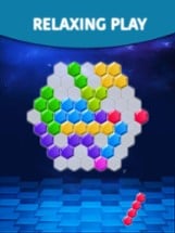 Hexagon Block - Tetra Puzzle Game Free Image