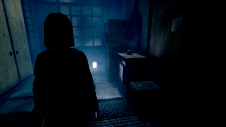 Scare: Fatal Picture - Remake Image