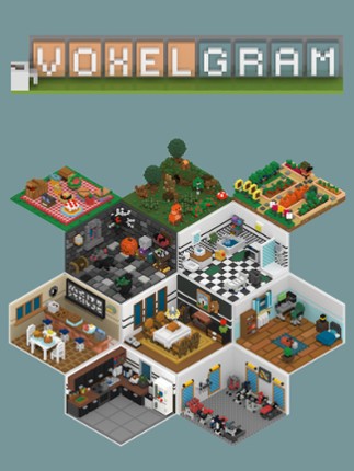 Voxelgram Game Cover