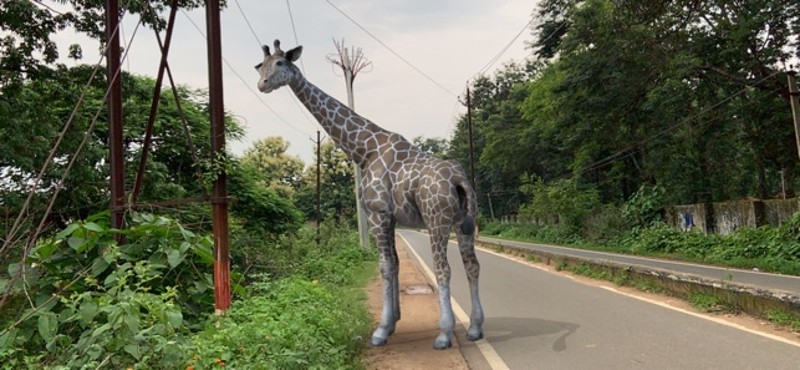 AR Real Animals screenshot