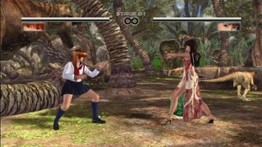 Dead or Alive 4 Image