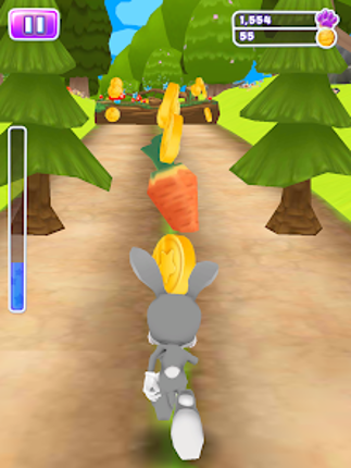 Bunny Rabbit Runner screenshot