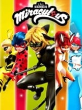 Miraculous Ladybug & Cat Noir Image