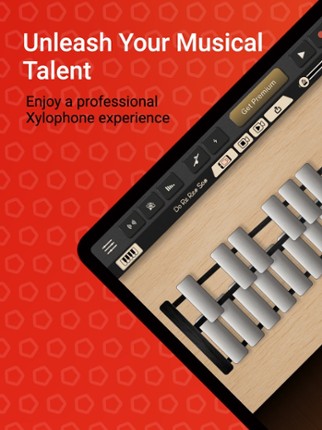 Professional Xylophone Image